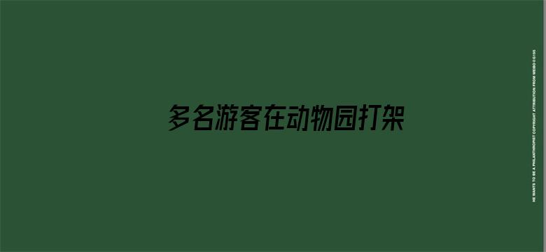 多名游客在动物园打架互殴